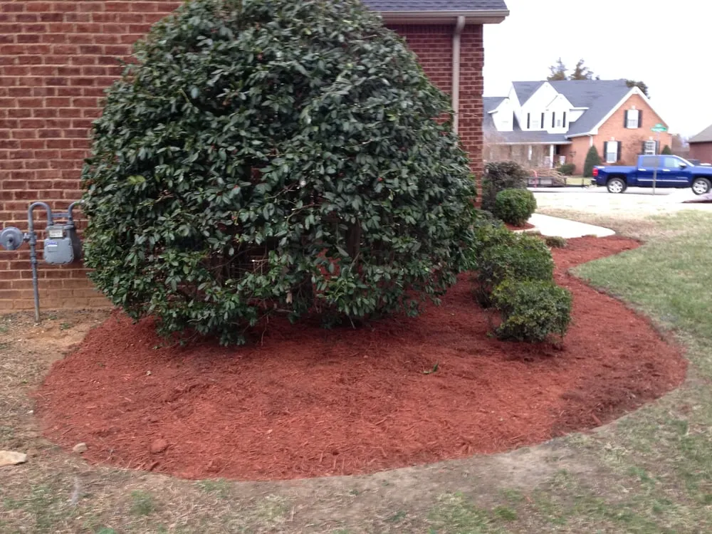 Professional landscape design for outdoor upgrades across Franklin, TN - Al's Lawn Care