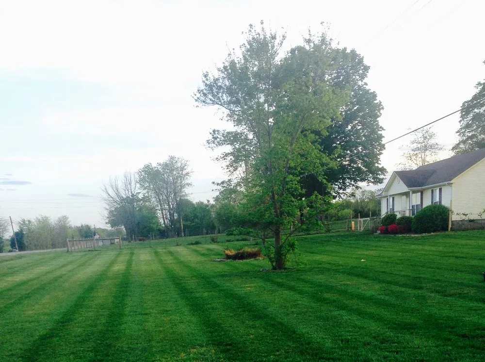 Trusted lawn care service in Franklin, TN by Al's Lawn Care