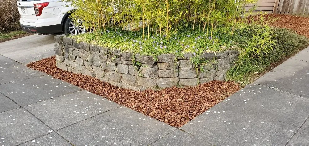 Affordable yard maintenance experts serving Portland, OR - Al's Lawn Care Service