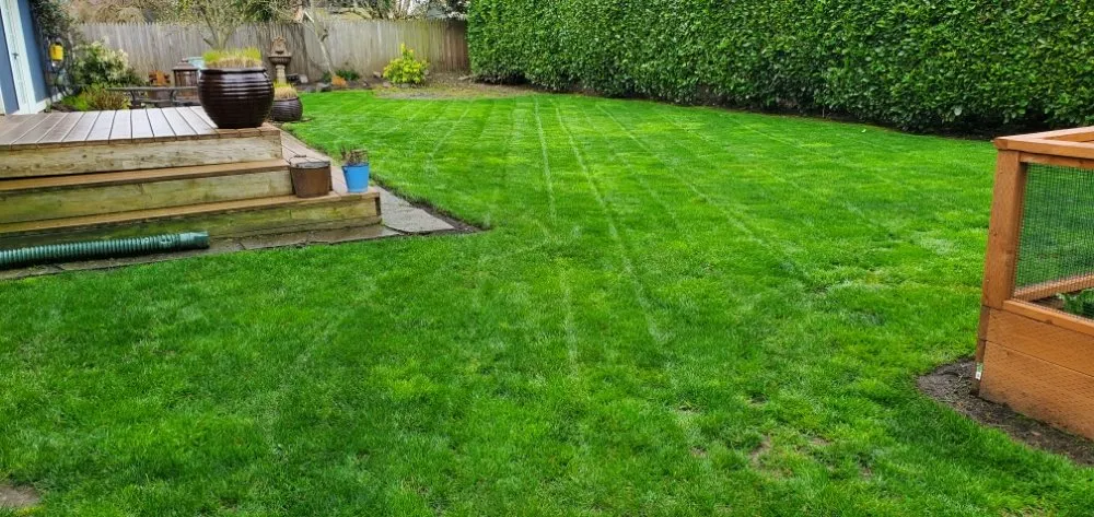 Top-rated yard cleanup service for outdoor upgrades in Portland, OR by Al's Lawn Care Service