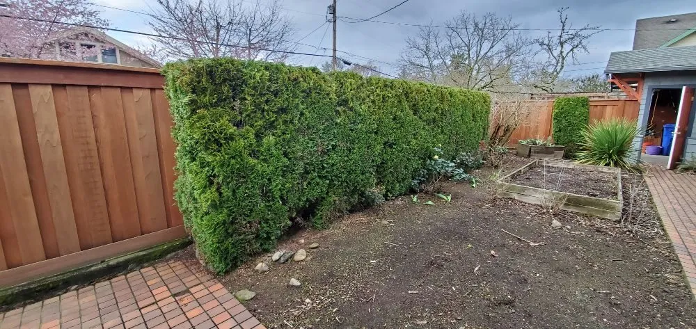 Reliable residential landscaping for outdoor upgrades across Portland, OR - Al's Lawn Care Service