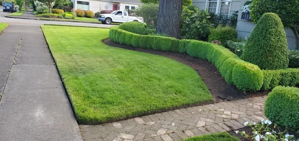 Reliable yard cleanup service in Portland, OR by Al's Lawn Care Service