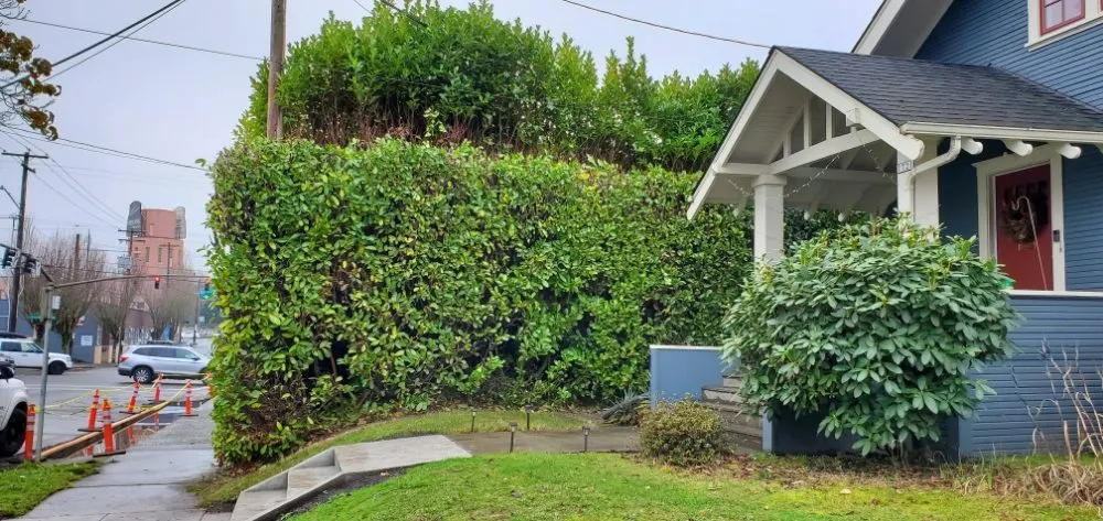 Professional garden landscaping for beautiful yards in Portland, OR by Al's Lawn Care Service