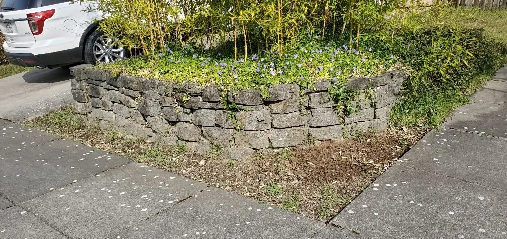 Reliable landscaping services experts serving Portland, OR - Al's Lawn Care Service