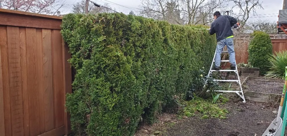 Professional outdoor landscaping experts serving Portland, OR - Al's Lawn Care Service