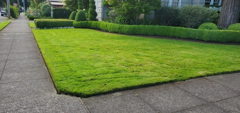 Custom garden landscaping experts serving Portland, OR - Al's Lawn Care Service
