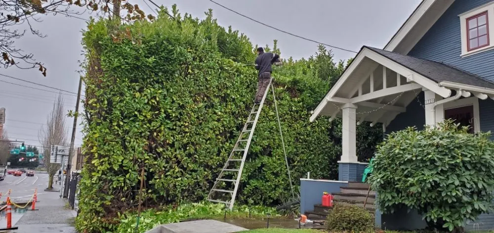 Local outdoor landscaping in Portland, OR - Al's Lawn Care Service