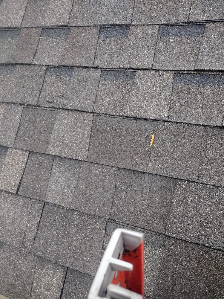 Trusted landscape design experts serving Corpus Christi, TX - AL’s Lawn Service & Gonzalez Construction