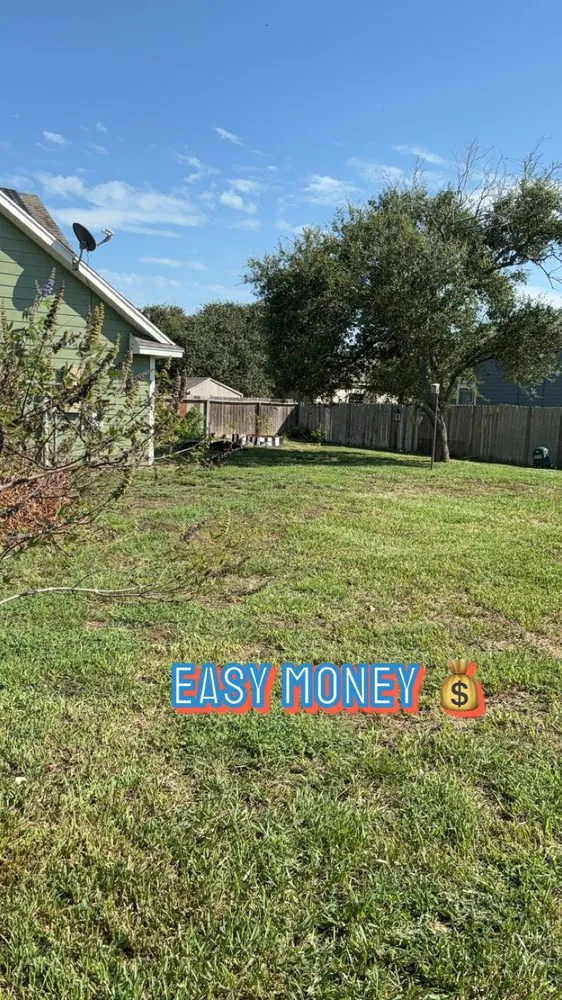 Expert landscape design in Corpus Christi, TX - AL’s Lawn Service & Gonzalez Construction