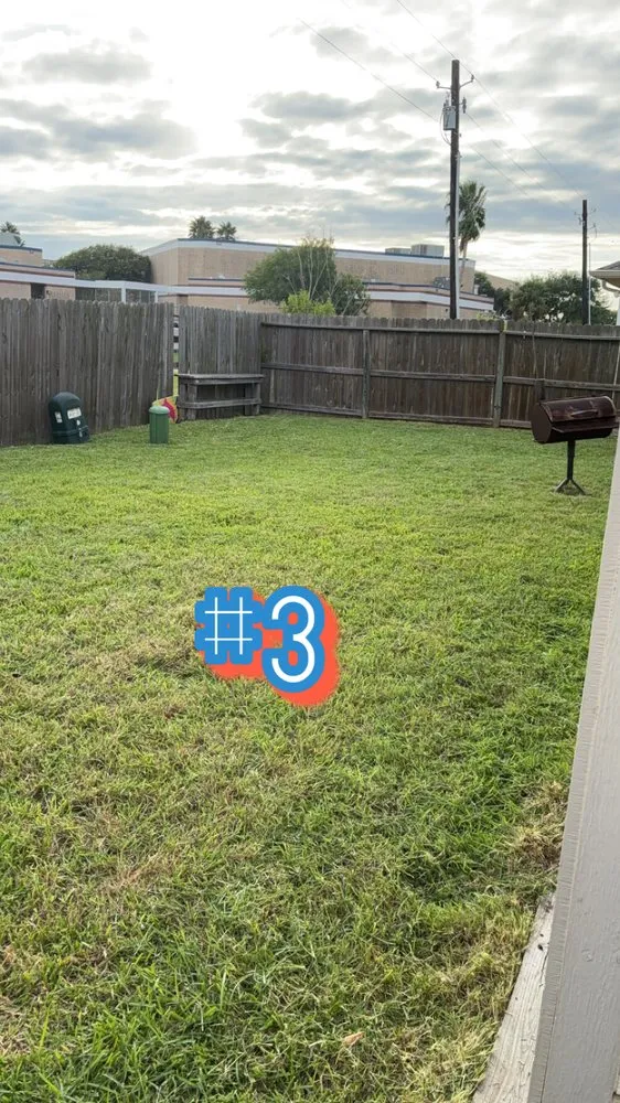 Affordable yard maintenance in Corpus Christi, TX by AL’s Lawn Service & Gonzalez Construction