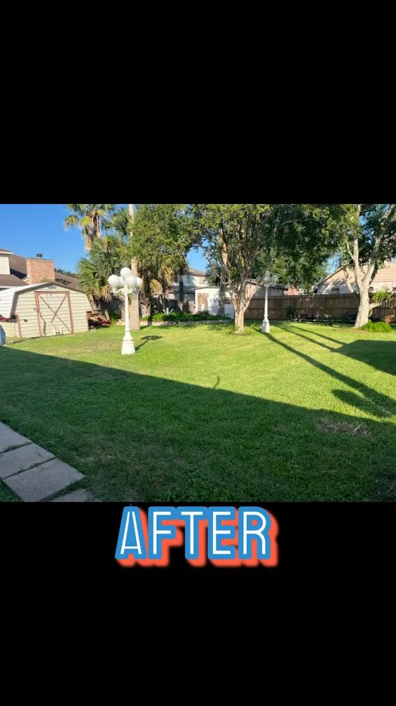 Expert yard maintenance experts serving Corpus Christi, TX - AL’s Lawn Service & Gonzalez Construction