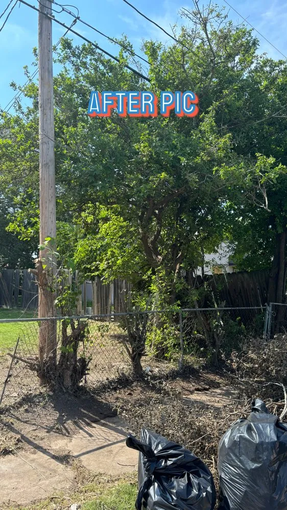 Trusted landscape installation experts serving Corpus Christi, TX - AL’s Lawn Service & Gonzalez Construction