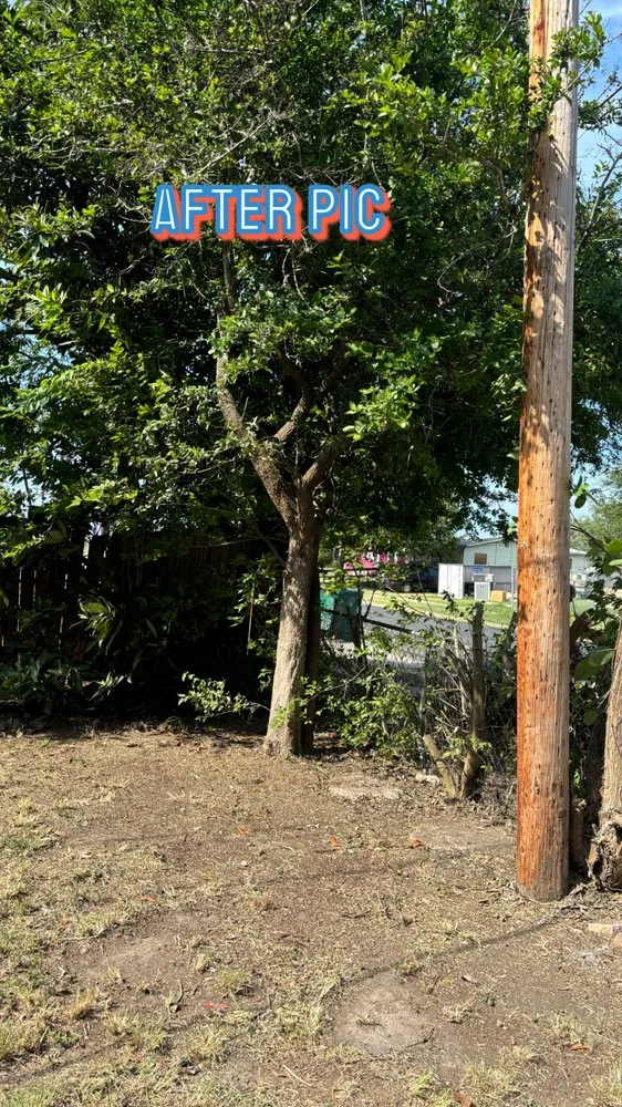 Expert residential landscaping in Corpus Christi, TX - AL’s Lawn Service & Gonzalez Construction