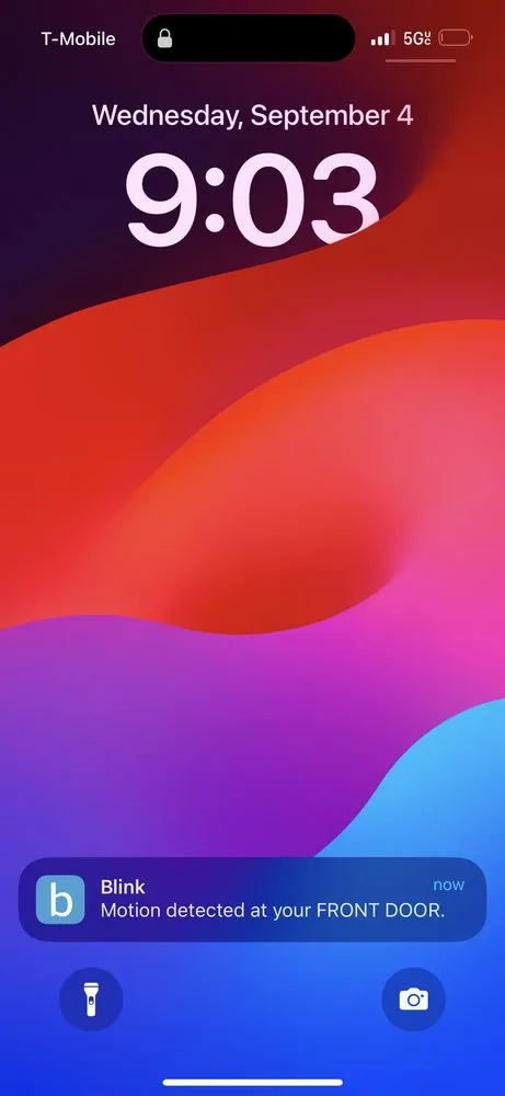 Local landscaping services in Corpus Christi, TX - AL’s Lawn Service & Gonzalez Construction