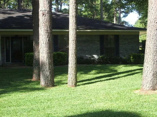 ALS Lawn Service Logo