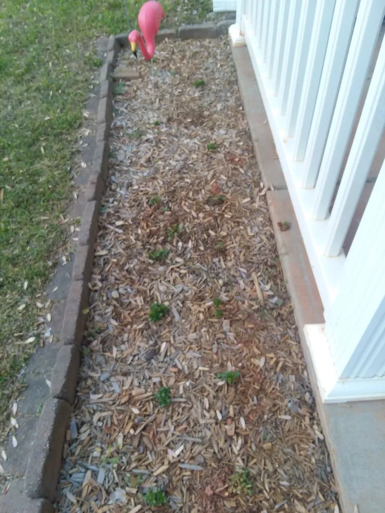 Affordable outdoor landscaping for residential properties across Columbia, SC - Al's Lawn Service