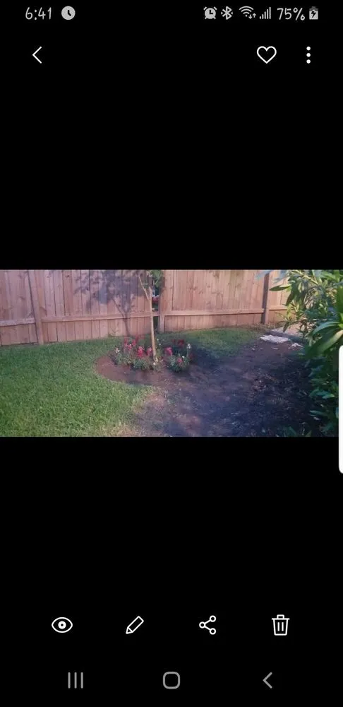 Local yard maintenance in Houston, TX - Al's Lawn Service