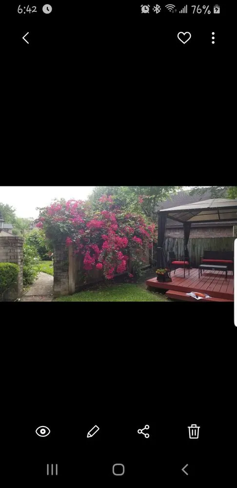 Professional yard cleanup service for outdoor upgrades across Houston, TX - Al's Lawn Service