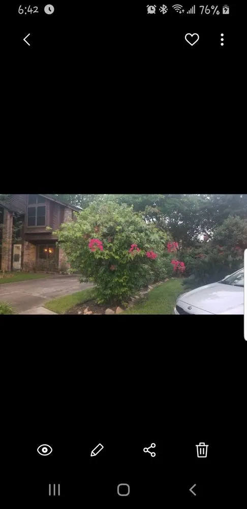 Expert garden landscaping for outdoor upgrades in Houston, TX by Al's Lawn Service