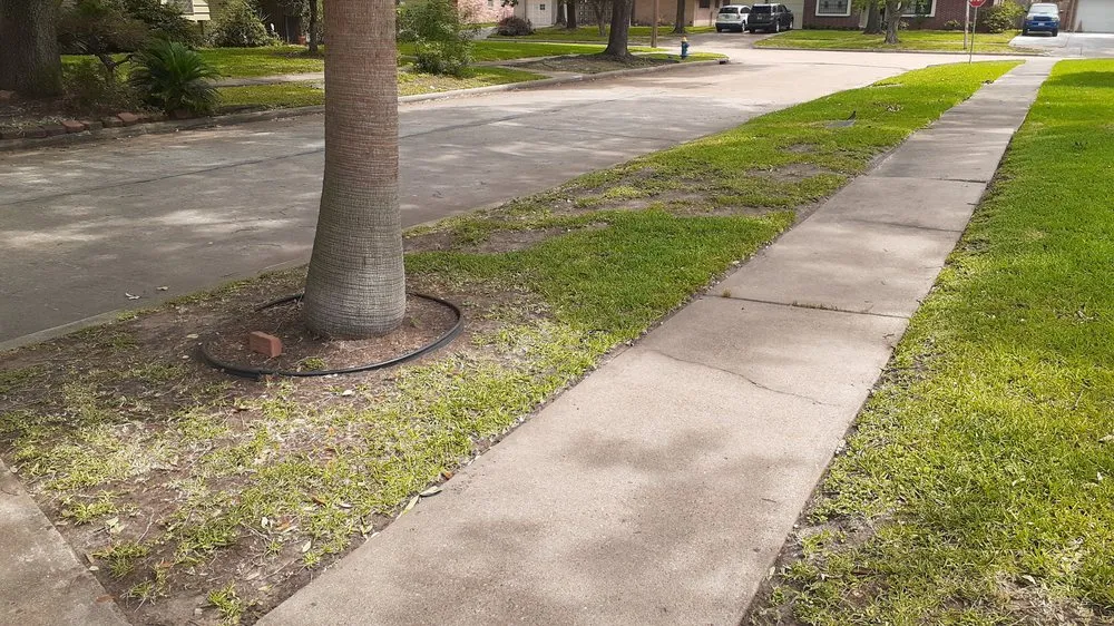 Custom lawn mowing service experts serving Houston, TX - Al's Lawn Service