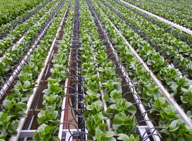 Reliable garden landscaping in Lancaster, TX by Al’s Lawn Sprinkler