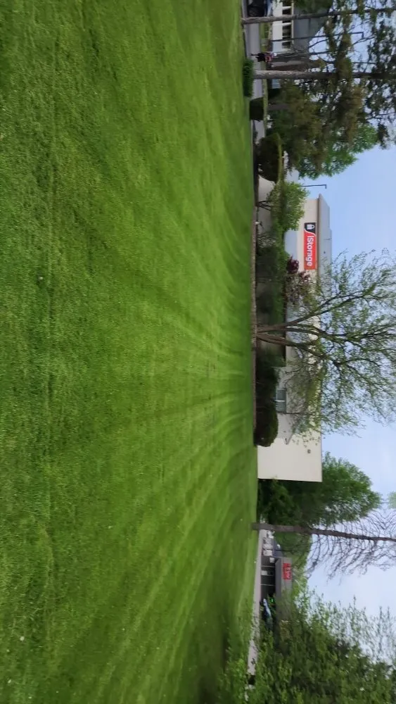 Top-rated yard cleanup service for beautiful yards across Dearborn, MI - Al's Mow & Snow