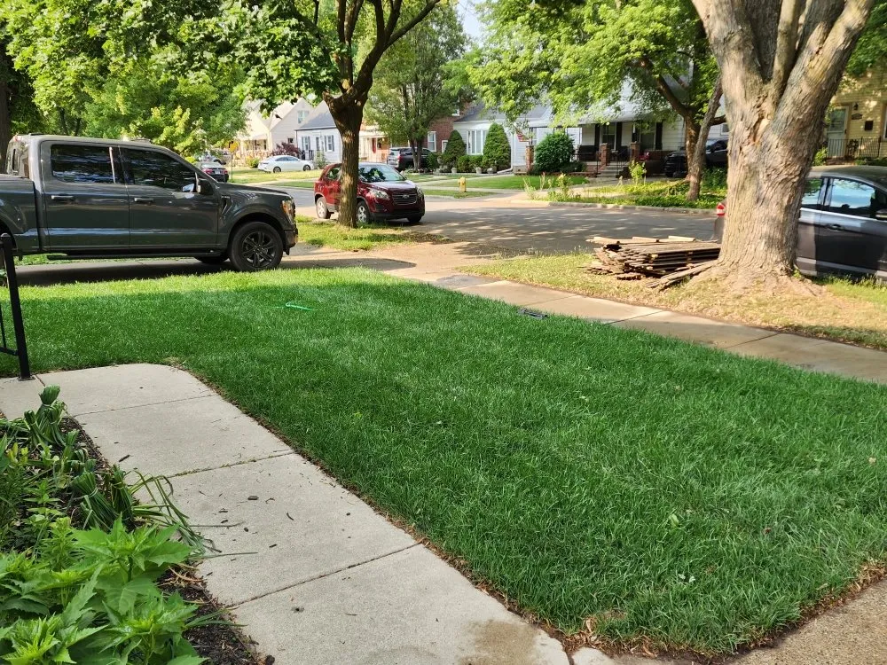 Professional landscape design experts serving Dearborn, MI - Al's Mow & Snow