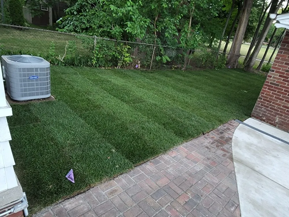 Affordable lawn care service in Dearborn, MI by Al's Mow & Snow