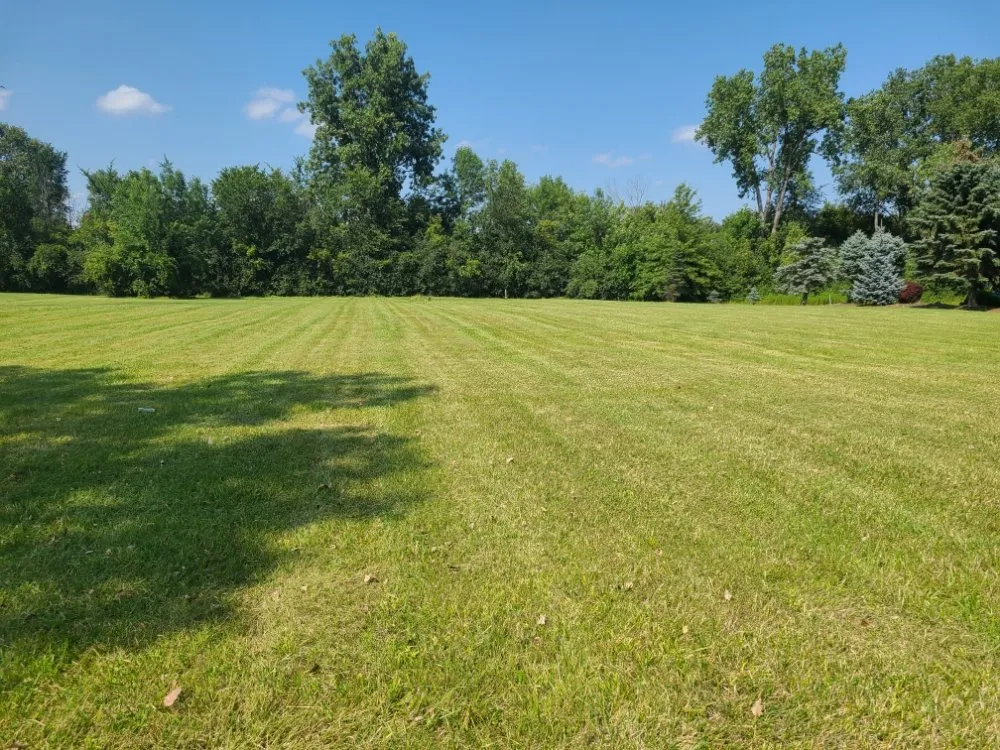 Professional landscape installation in Dearborn, MI by Al's Mow & Snow