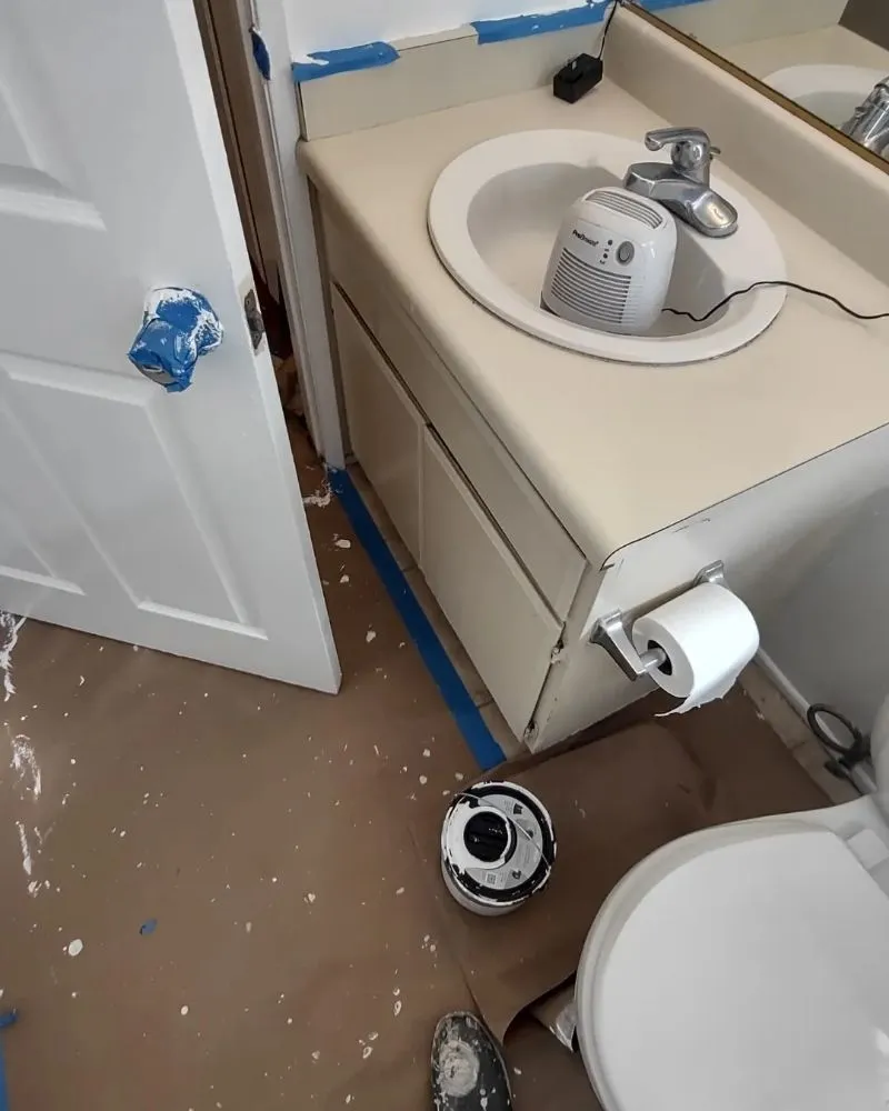 Top-rated yard maintenance in Los Angeles, CA - Al's Painting Services