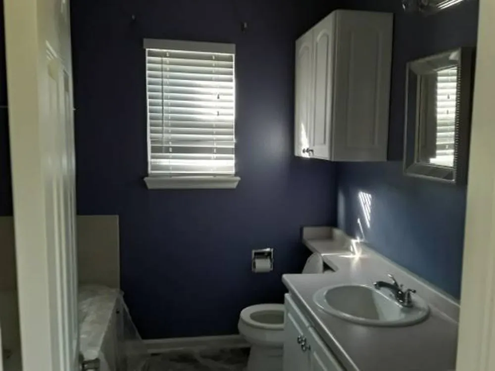 Expert landscaping services in Los Angeles, CA by Al's Painting Services