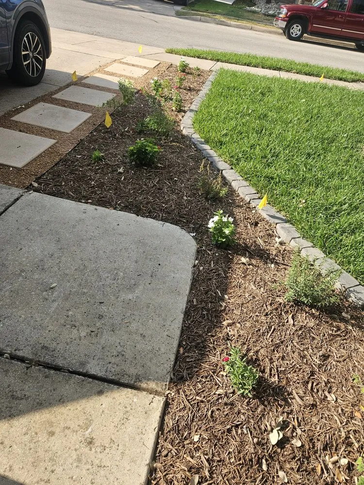 Professional residential landscaping for year-round maintenance across San Antonio, TX - ALS Quality Landscaping