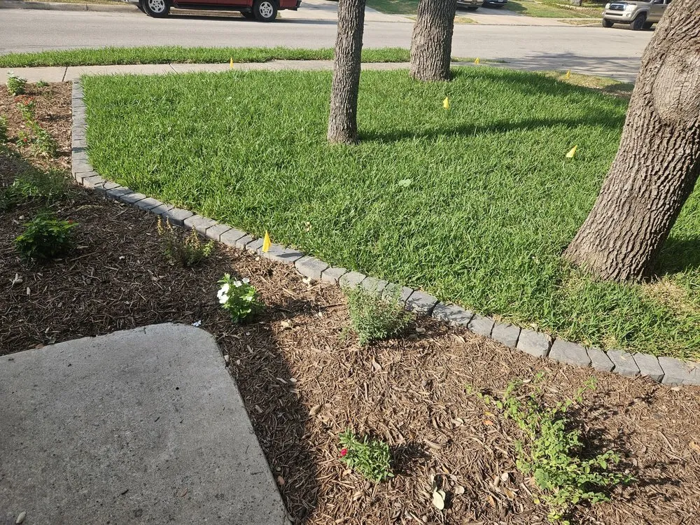 Reliable lawn mowing service experts serving San Antonio, TX - ALS Quality Landscaping