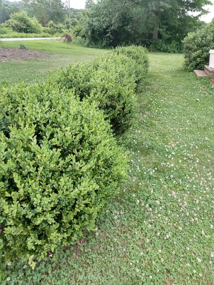 Top-rated outdoor landscaping for homes in Southbury, CT by Al's Tree and Shrub Care