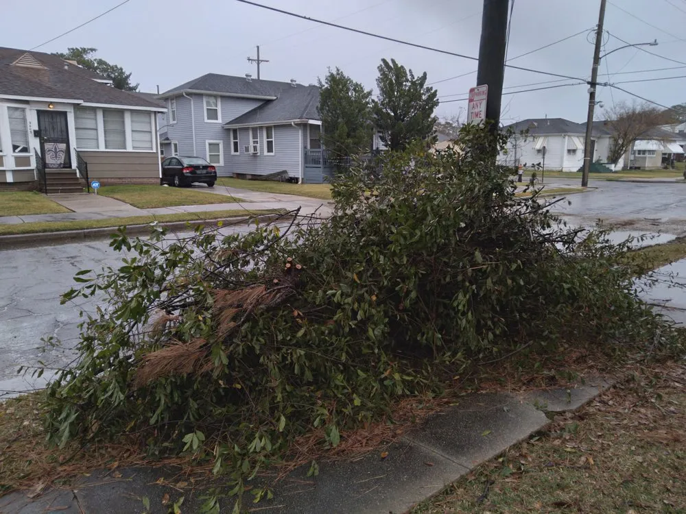 Professional garden landscaping for year-round maintenance across Metairie, LA - Al's Tree Removal
