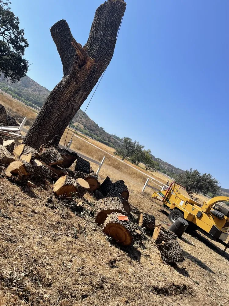 Top-rated lawn mowing service with custom design across Camarillo, CA - Al’s Tree Service & Landscapes