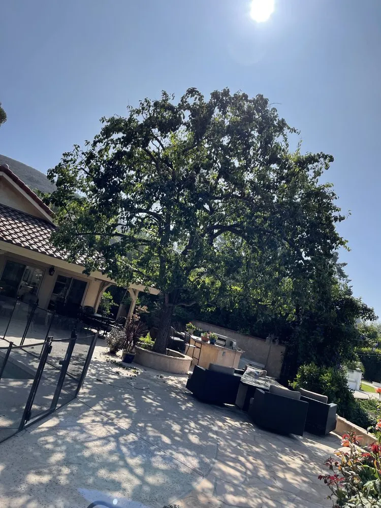 Top-rated outdoor landscaping with custom design across Camarillo, CA - Al’s Tree Service & Landscapes