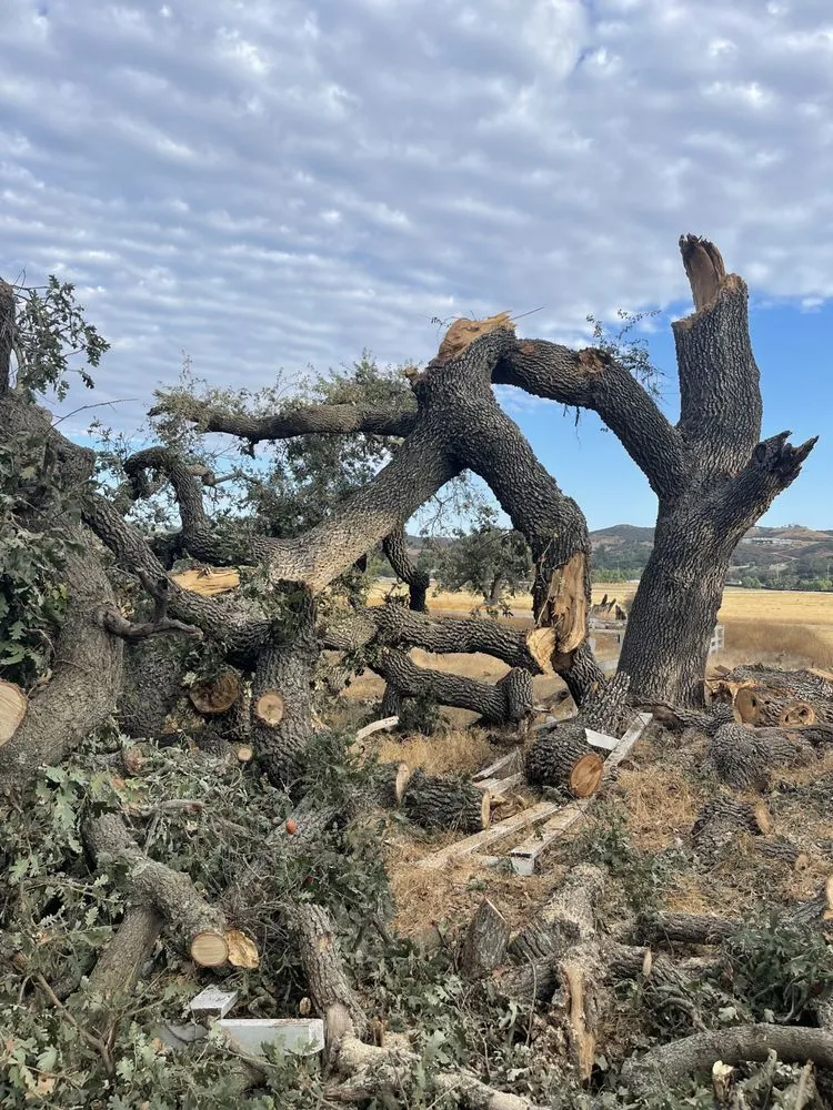 Local landscape installation for residential properties in Camarillo, CA by Al’s Tree Service & Landscapes