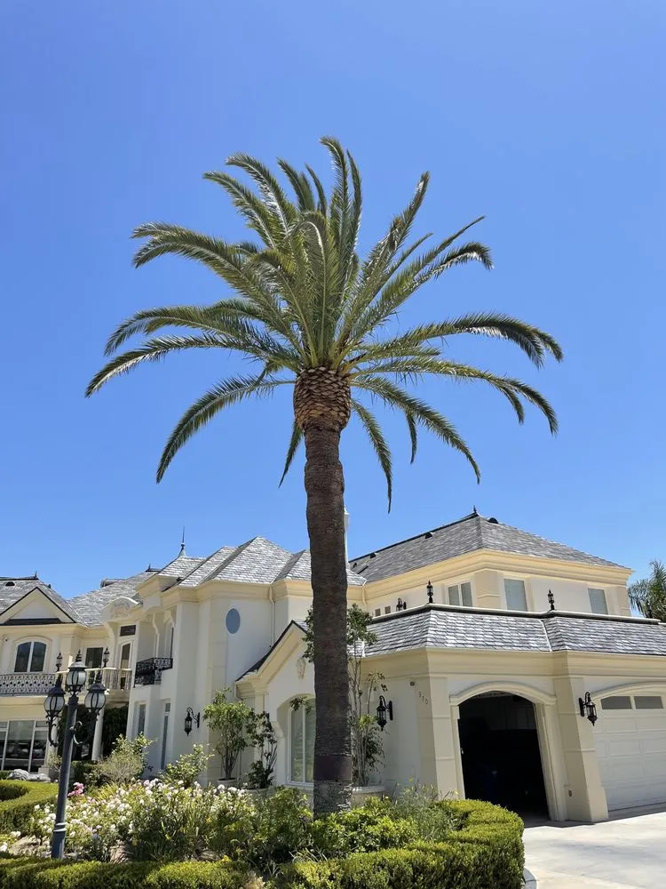 Affordable landscaping services in Camarillo, CA by Al’s Tree Service & Landscapes