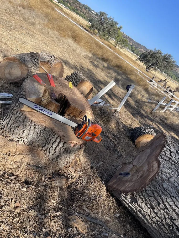 Trusted garden landscaping experts serving Camarillo, CA - Al’s Tree Service & Landscapes