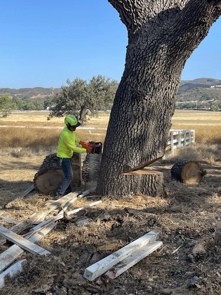 Custom lawn mowing service in Camarillo, CA - Al’s Tree Service & Landscapes