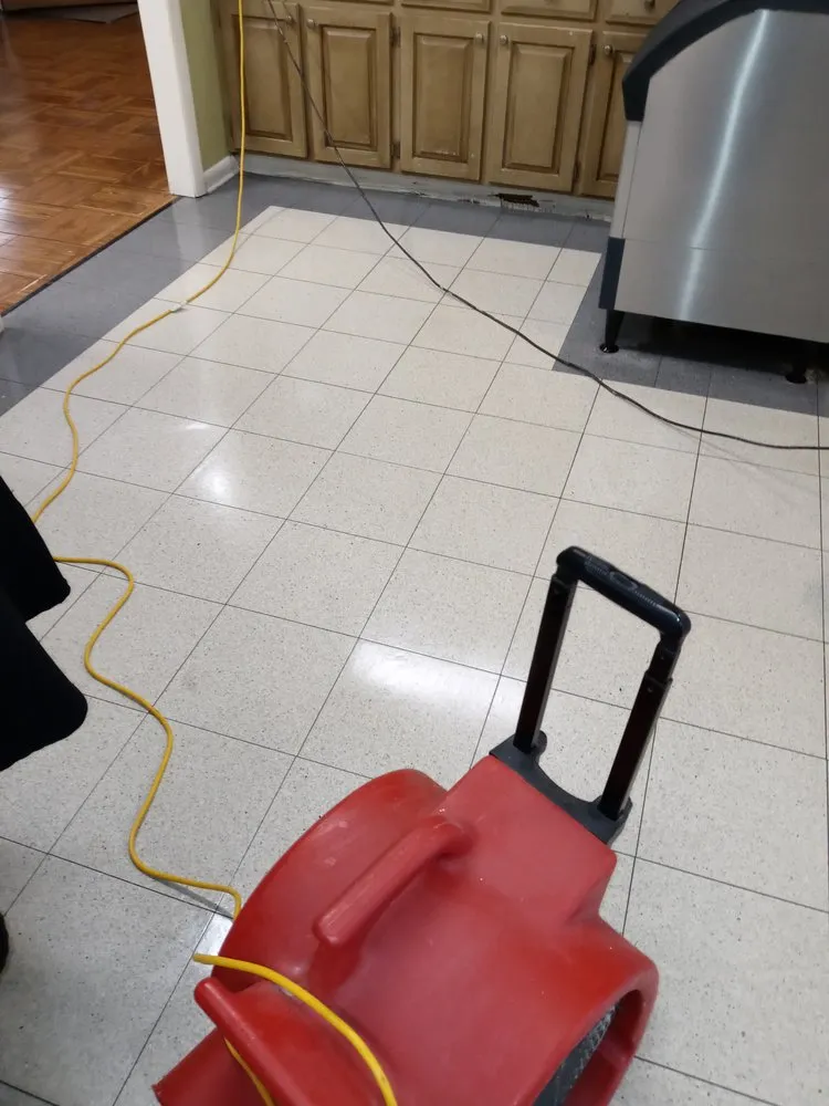 Local yard maintenance in Florence, AL - Alston's Do All