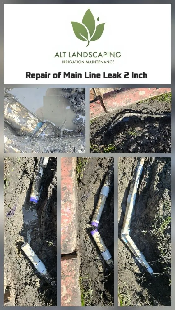 Trusted residential landscaping in Dallas, TX - ALT Landscaping