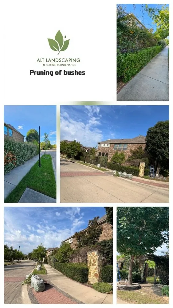 Trusted landscape design in Dallas, TX by ALT Landscaping