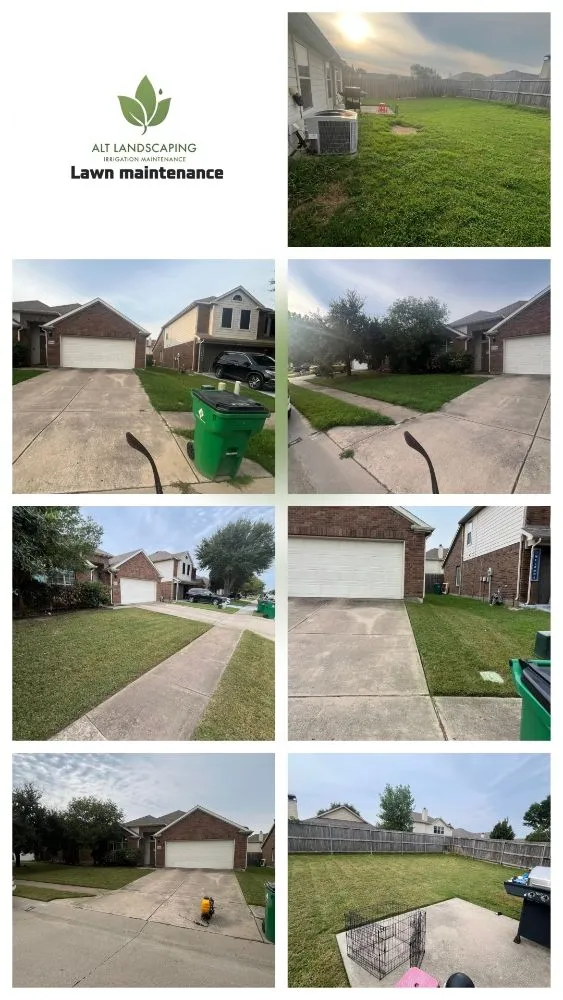 Custom yard cleanup service for beautiful yards in Dallas, TX by ALT Landscaping