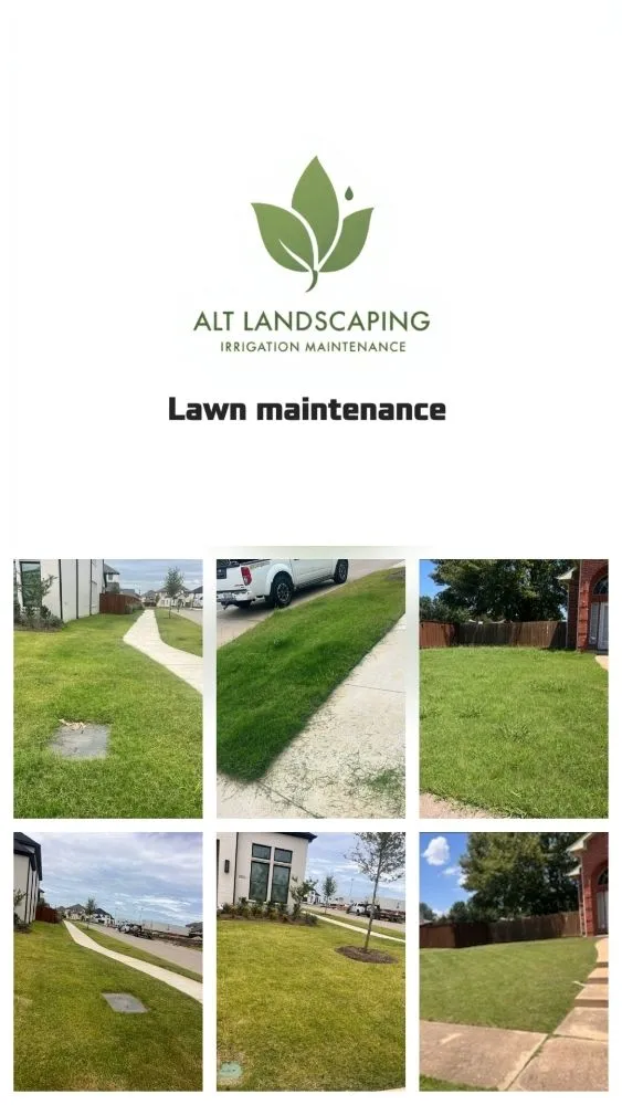 Local landscape design in Dallas, TX - ALT Landscaping