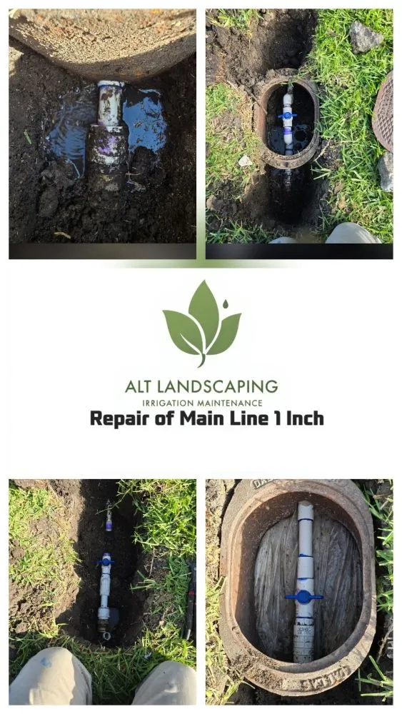 Custom yard cleanup service experts serving Dallas, TX - ALT Landscaping