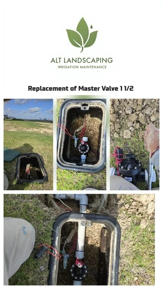 Custom garden landscaping for beautiful yards in Dallas, TX by ALT Landscaping