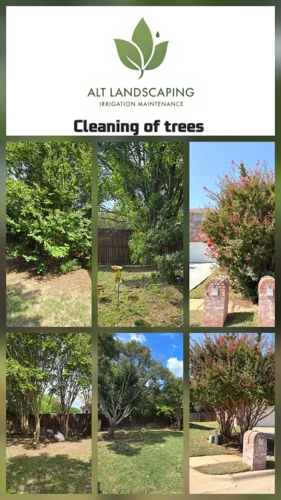 Reliable landscaping services experts serving Dallas, TX - ALT Landscaping