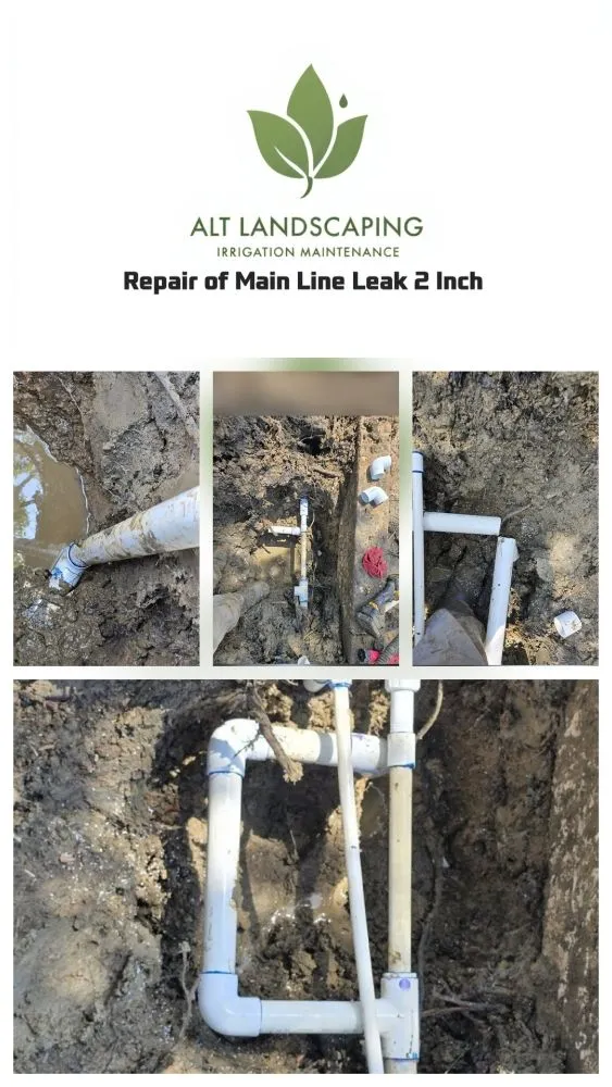 Trusted outdoor landscaping experts serving Dallas, TX - ALT Landscaping